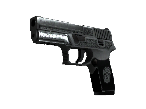P250（StatTrak™） | 卡特尔 (久经沙场)