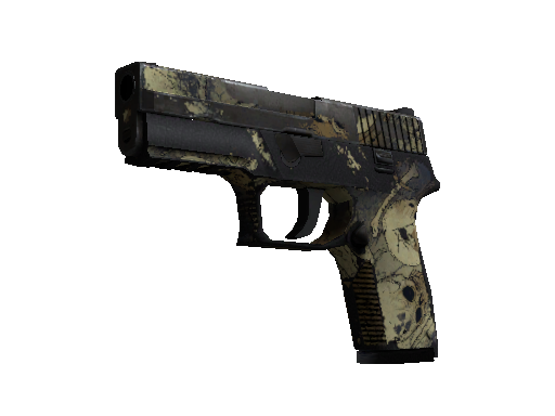 P250 | 核子污染 (战痕累累)