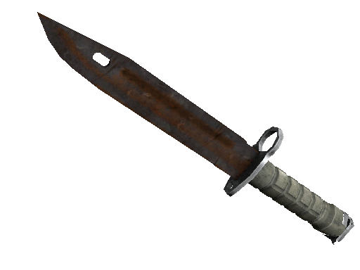 刺刀(★ StatTrak™) | 外表生锈 (战痕累累)