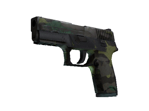 P250（纪念品） | 北方森林 (战痕累累)