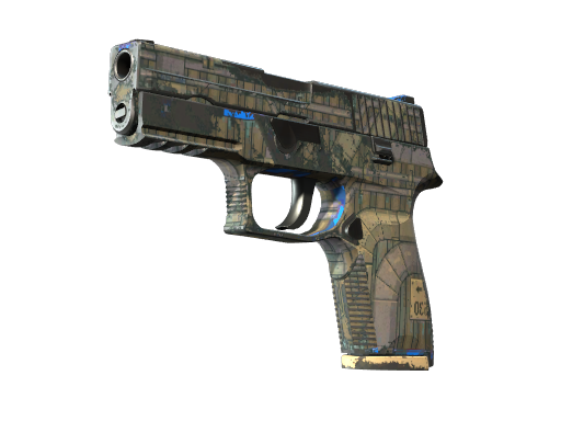 P250 | 交换机 (破损不堪)
