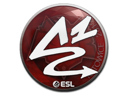 印花 | ANGE1 | 2019年卡托维兹锦标赛