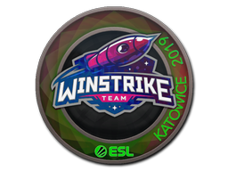 印花 | Winstrike Team（全息）| 2019年卡托维兹锦标赛