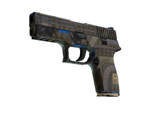 P250（纪念品） | 交换机 (破损不堪)