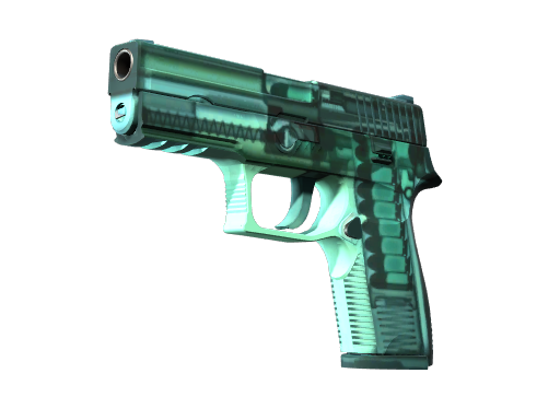 P250（StatTrak™） | X 射线 (略有磨损)