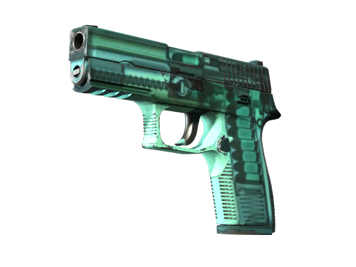 P250（StatTrak™） | X 射线 (久经沙场)