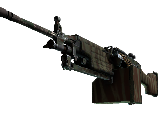 M249 | 捕食者 (久经沙场)