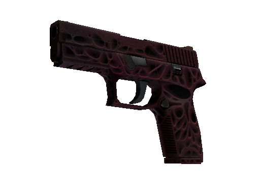 P250(StatTrak™) | 污染物 (崭新出厂)