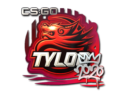印花 | TYLOO | 2020 RMR