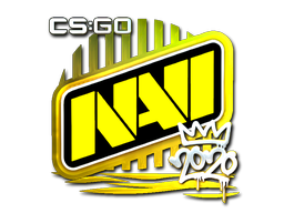 印花 | Natus Vincere(闪亮)| 2020 RMR