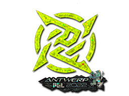 印花 | Ninjas in Pyjamas(闪耀)| 2022年安特卫普锦标赛