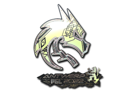 印花 | Team Spirit（全息）| 2022年安特卫普锦标赛