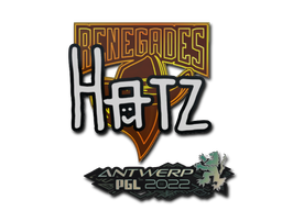 印花 | hatz | 2022年安特卫普锦标赛