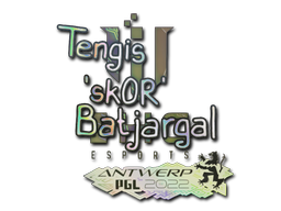 印花 | sk0R（全息） | 2022年安特卫普锦标赛