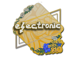 印花 | electronic | 2022年里约热内卢锦标赛