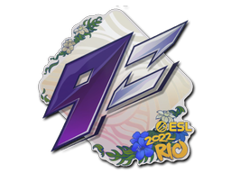 印花 | 9z Team | 2022年里约热内卢锦标赛