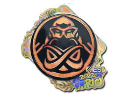 印花 | ENCE(全息)| 2022年里约热内卢锦标赛