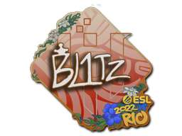 印花 | bLitz | 2022年里约热内卢锦标赛