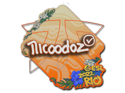 印花 | nicoodoz | 2022年里约热内卢锦标赛