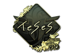 印花 | TeSeS(金色)| 2022年里约热内卢锦标赛