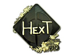 印花 | HexT(金色)| 2022年里约热内卢锦标赛