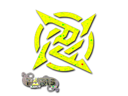 印花 | Ninjas in Pyjamas（闪耀）| 2023年巴黎锦标赛