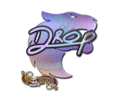 印花 | drop(全息)| 2023年巴黎锦标赛
