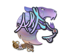 印花 | arT（全息）| 2023年巴黎锦标赛