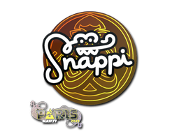 印花 | Snappi | 2023年巴黎锦标赛