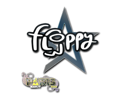 印花 | floppy | 2023年巴黎锦标赛