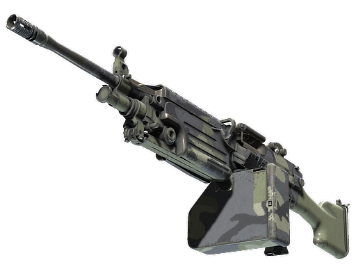 M249 | 鼠尾草迷彩 (久经沙场)
