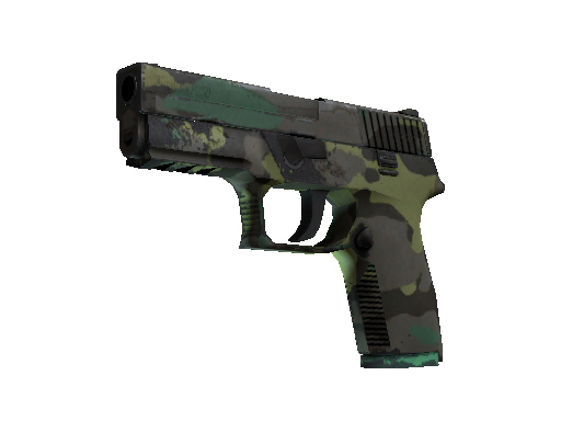 P250 | 北方森林 (久经沙场)