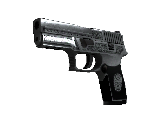 P250（StatTrak™） | 卡特尔 (略有磨损)