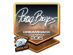 印花 | pashaBiceps(闪亮)| 2015年克卢日-纳波卡锦标赛