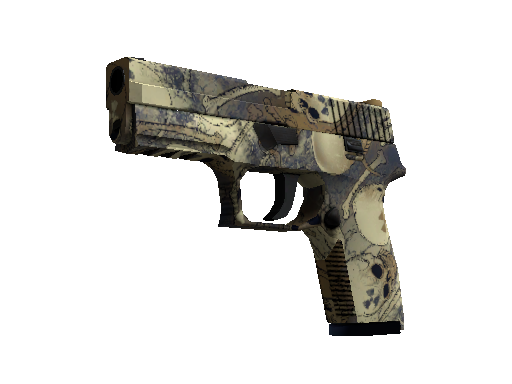 P250 | 核子污染 (崭新出厂)