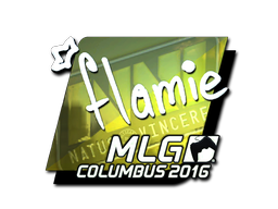 印花 | flamie(闪亮)| 2016年 MLG 哥伦布锦标赛