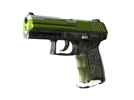 P2000（StatTrak™） | 草皮 (破损不堪)