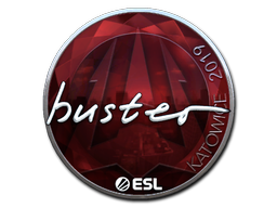 印花 | buster(闪亮)| 2019年卡托维兹锦标赛