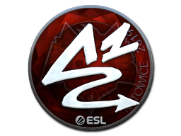 印花 | ANGE1（闪亮）| 2019年卡托维兹锦标赛