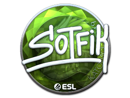 印花 | S0tF1k(闪亮)| 2019年卡托维兹锦标赛