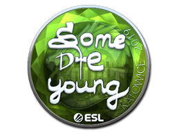 印花 | sdy（闪亮）| 2019年卡托维兹锦标赛