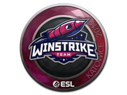 印花 | Winstrike Team | 2019年卡托维兹锦标赛