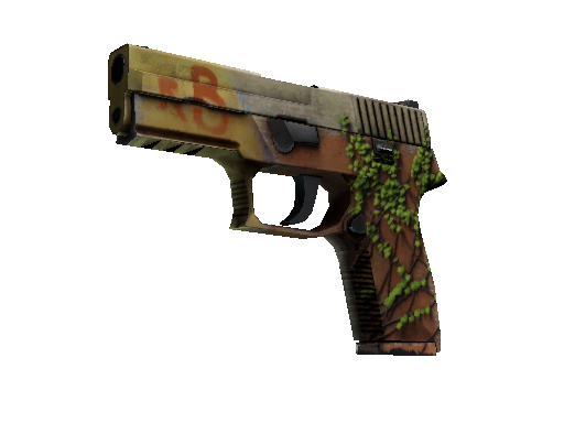 P250（StatTrak™） | 炼狱小镇 (久经沙场)