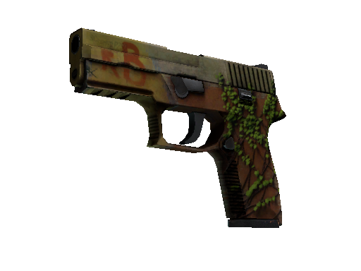 P250（StatTrak™） | 炼狱小镇 (战痕累累)