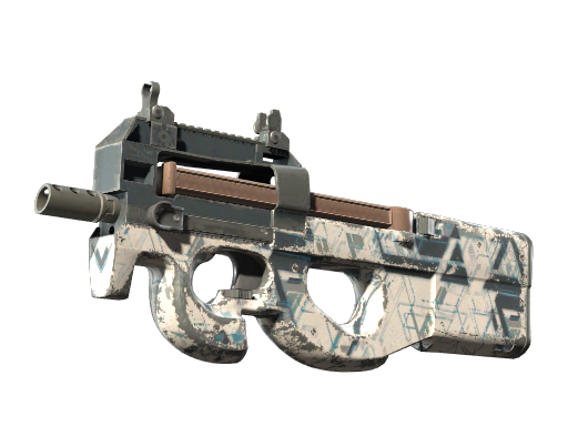 P90 | 解视图 (破损不堪)