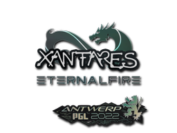 印花 | XANTARES | 2022年安特卫普锦标赛