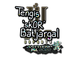 印花 | sk0R(闪耀)| 2022年安特卫普锦标赛