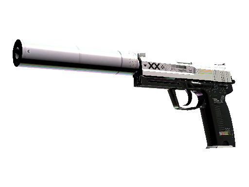 USP 消音版(StatTrak™) | 印花集 (略有磨损)