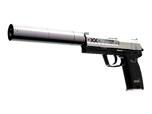 USP 消音版（StatTrak™） | 印花集 (破损不堪)