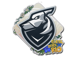印花 | Grayhound Gaming | 2022年里约热内卢锦标赛